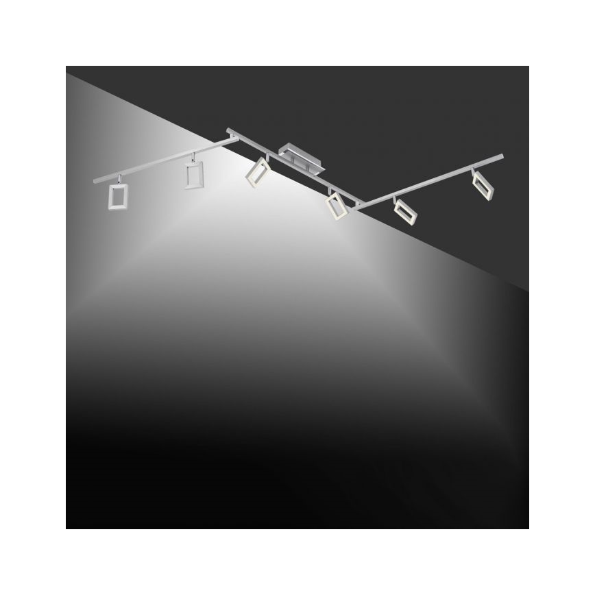 Paul Neuhaus 6965-55 - LED Dimbar spotlight INIGO 6xLED/4W/230V