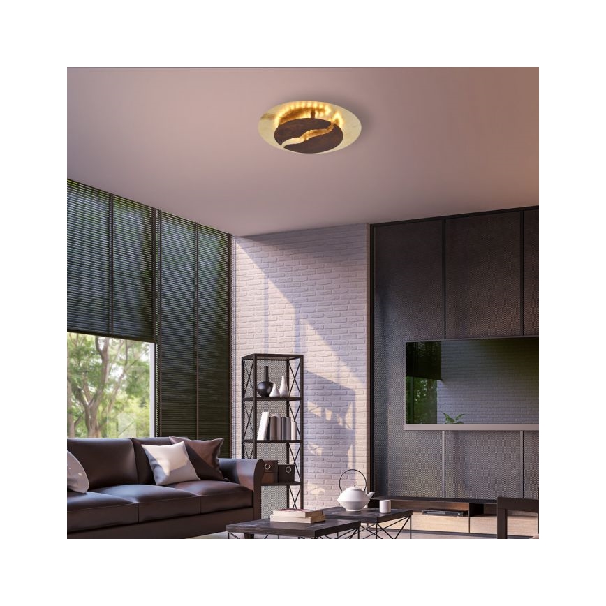 Paul Neuhaus 6982-48 - LED ljusreglerad taklampa  NEVIS LED/26W/230V