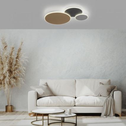 Paul Neuhaus 8007-70 - LED Dimbar taklampa Q-PIATO LED/35W/230V 2700-5000K Wi-Fi + fjärrkontroll