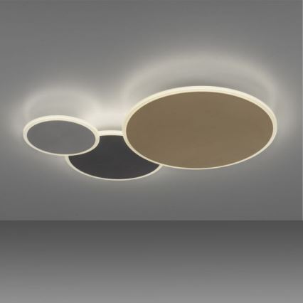 Paul Neuhaus 8007-70 - LED Dimbar taklampa Q-PIATO LED/35W/230V 2700-5000K Wi-Fi + fjärrkontroll