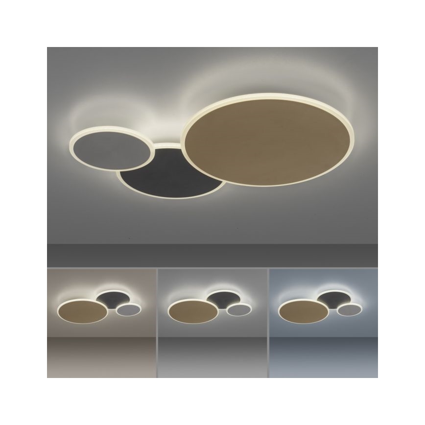 Paul Neuhaus 8007-70 - LED dimbar taklampa Q-PIATO LED/35W/230V 2700-5000K Wi-Fi + fjärrkontroll