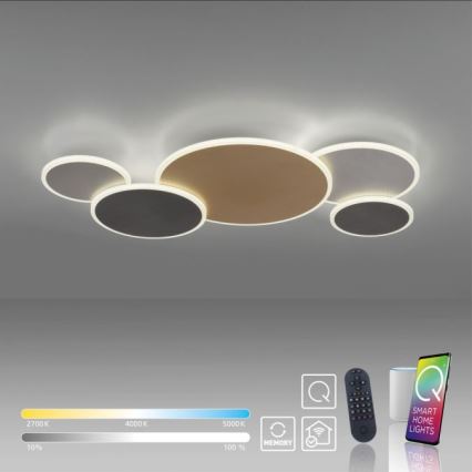 Paul Neuhaus 8008-70 - LED Dimbar taklampa Q-PIATO LED/49W/230V 2700-5000K Wi-Fi + fjärrkontroll