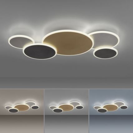Paul Neuhaus 8008-70 - LED Dimbar taklampa Q-PIATO LED/49W/230V 2700-5000K Wi-Fi + fjärrkontroll
