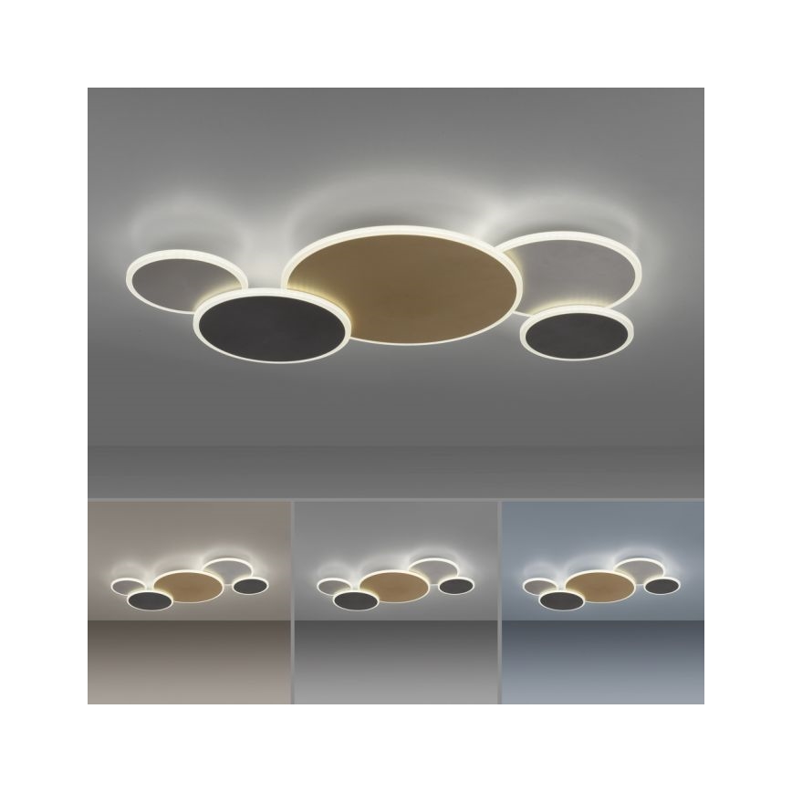 Paul Neuhaus 8008-70 - LED Dimbar taklampa Q-PIATO LED/49W/230V 2700-5000K Wi-Fi + fjärrkontroll