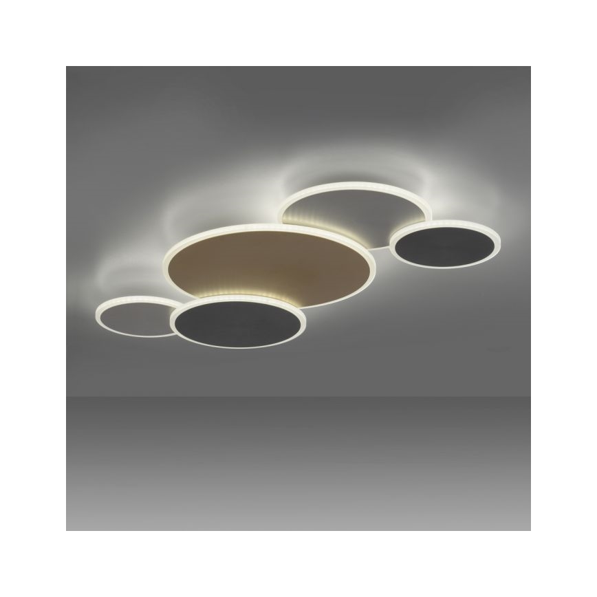 Paul Neuhaus 8008-70 - LED Dimbar taklampa Q-PIATO LED/49W/230V 2700-5000K Wi-Fi + fjärrkontroll