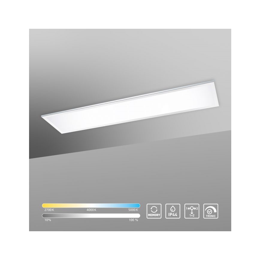Paul Neuhaus 8112-17 - LED Dimbar Takbelysning FLAG LED/35W/230V