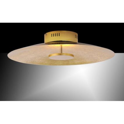 Paul Neuhaus 8132-12 - LED Dimbar Takbelysning PLATE LED/25W/230V