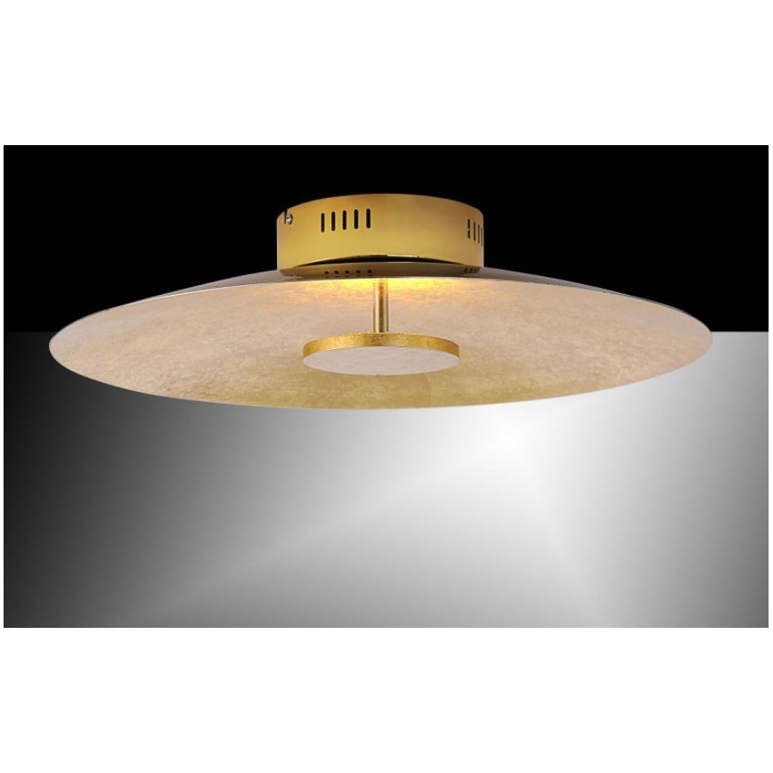 Paul Neuhaus 8132-12 - LED Dimbar Takbelysning PLATE LED/25W/230V