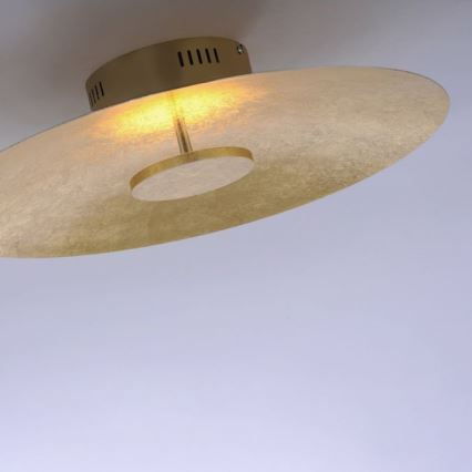 Paul Neuhaus 8132-12 - LED Dimbar Takbelysning PLATE LED/25W/230V
