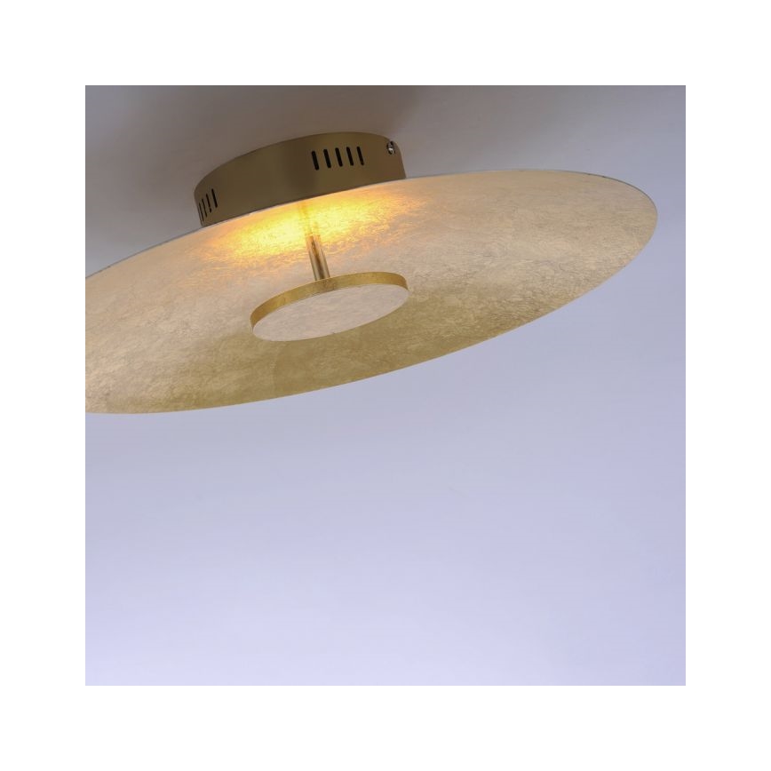 Paul Neuhaus 8132-12 - LED Dimbar Takbelysning PLATE LED/25W/230V
