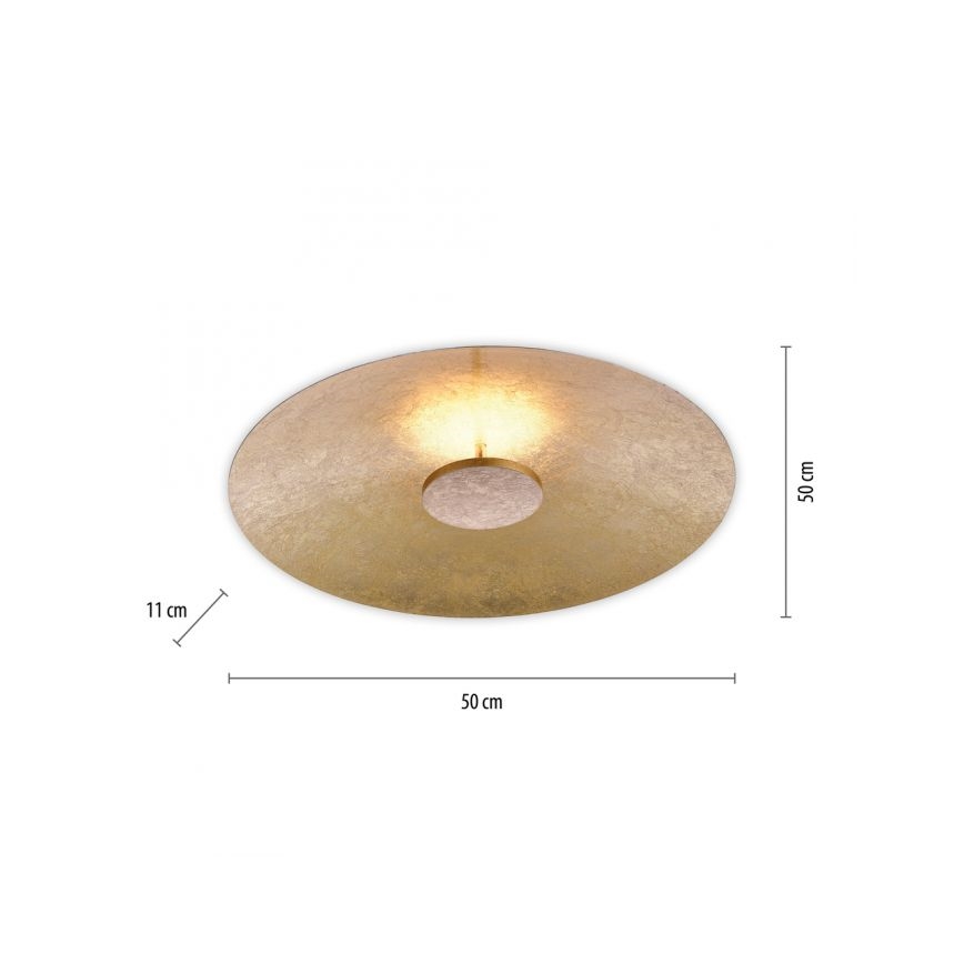 Paul Neuhaus 8132-12 - LED Dimbar Takbelysning PLATE LED/25W/230V