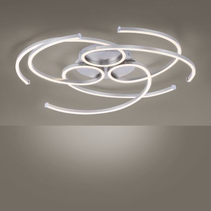 Paul Neuhaus 8165-55 - LED Dimbar Takbelysning DANILO 3xLED/12W/230V