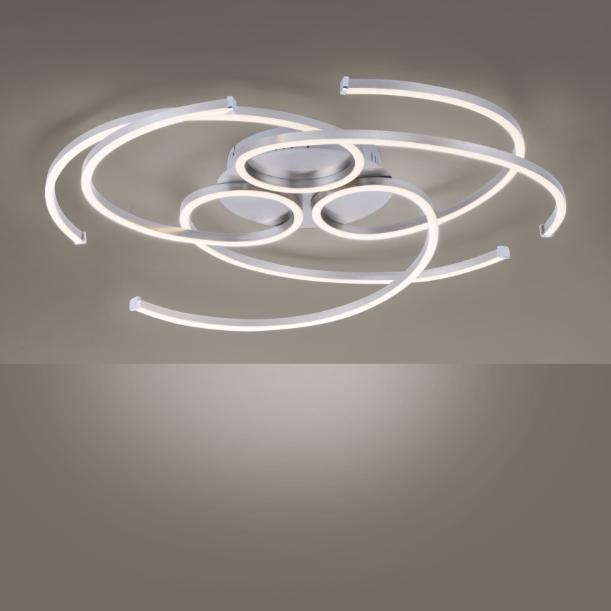 Paul Neuhaus 8165-55 - LED Dimbar Takbelysning DANILO 3xLED/12W/230V