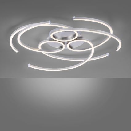 Paul Neuhaus 8165-55 - LED Dimbar Takbelysning DANILO 3xLED/12W/230V