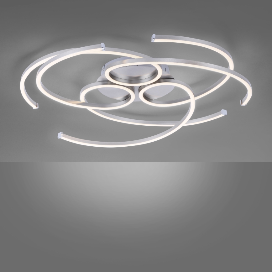 Paul Neuhaus 8165-55 - LED Dimbar Takbelysning DANILO 3xLED/12W/230V
