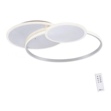 Paul Neuhaus 8318-55 - LED Dimbar Takbelysning EMILIO LED/53W/230V + Fjärrstyrd