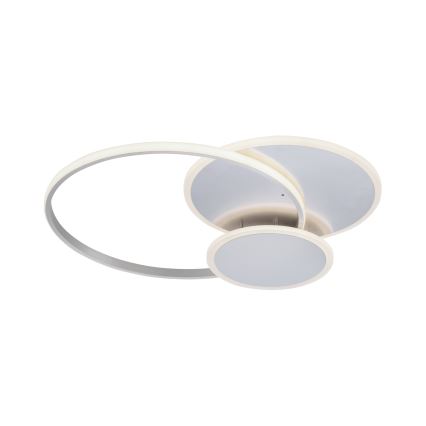Paul Neuhaus 8318-55 - LED Dimbar Takbelysning EMILIO LED/53W/230V + Fjärrstyrd