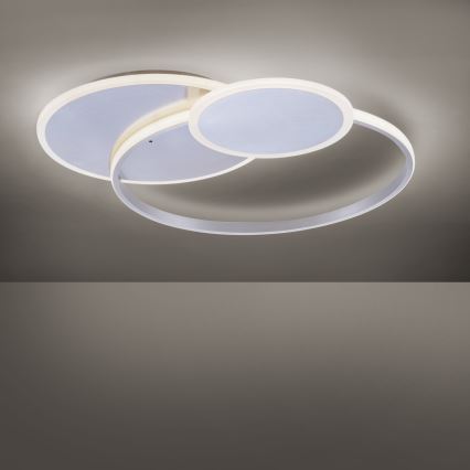 Paul Neuhaus 8318-55 - LED Dimbar Takbelysning EMILIO LED/53W/230V + Fjärrstyrd