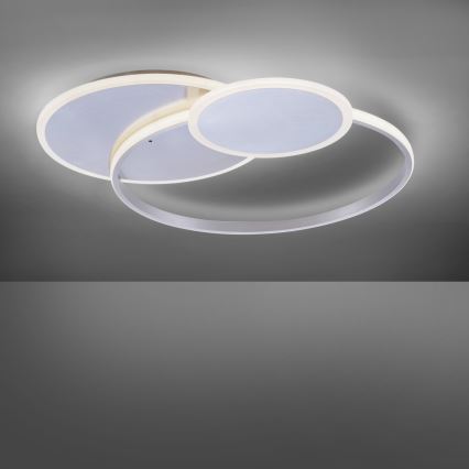 Paul Neuhaus 8318-55 - LED Dimbar Takbelysning EMILIO LED/53W/230V + Fjärrstyrd
