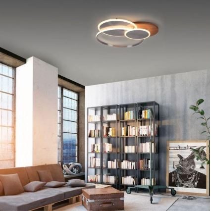 Paul Neuhaus 8328-79 - LED Dimbar taklampa PALMA LED/50W/230V 2700-5000K tall + fjärrkontroll