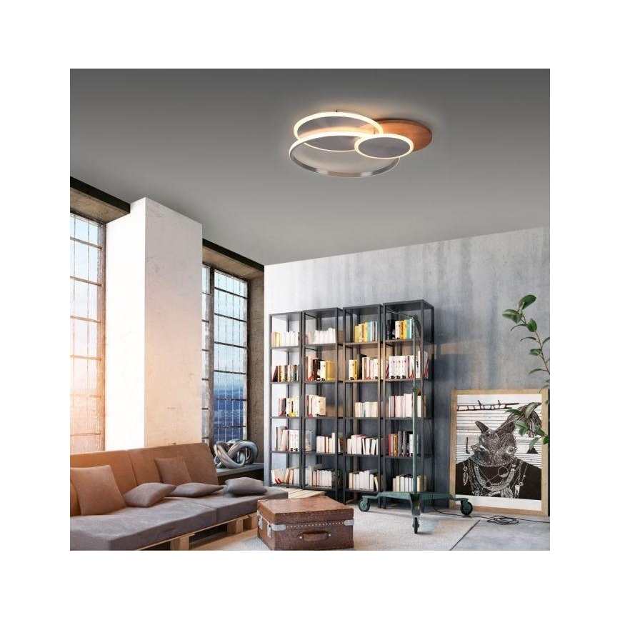 Paul Neuhaus 8328-79 - LED Dimbar taklampa PALMA LED/50W/230V 2700-5000K tall + fjärrkontroll