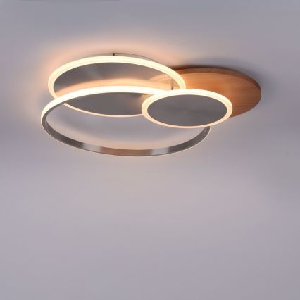 Paul Neuhaus 8328-79 - LED Dimbar taklampa PALMA LED/50W/230V 2700-5000K tall + fjärrkontroll