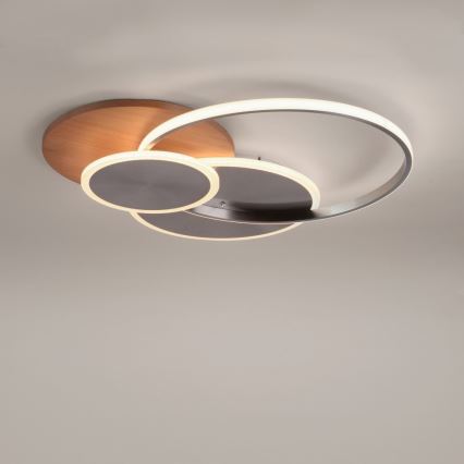 Paul Neuhaus 8328-79 - LED Dimbar taklampa PALMA LED/50W/230V 2700-5000K tall + fjärrkontroll