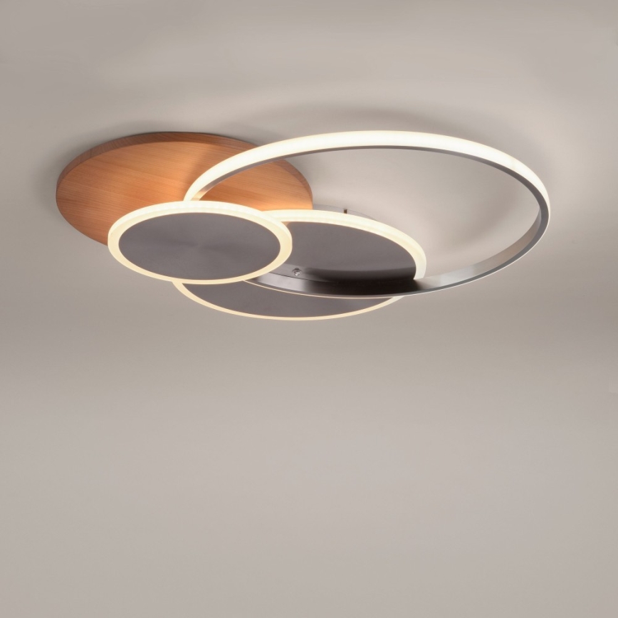Paul Neuhaus 8328-79 - LED Dimbar taklampa PALMA LED/50W/230V 2700-5000K tall + fjärrkontroll
