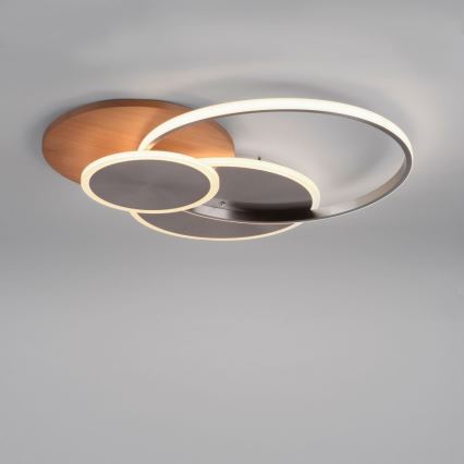 Paul Neuhaus 8328-79 - LED Dimbar taklampa PALMA LED/50W/230V 2700-5000K tall + fjärrkontroll