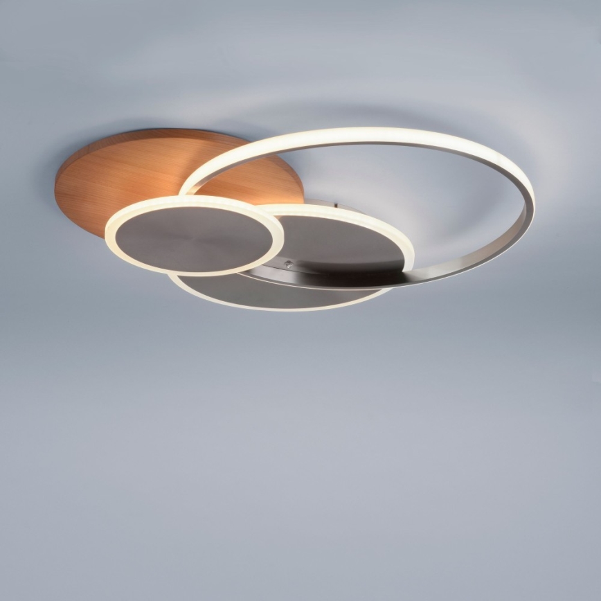 Paul Neuhaus 8328-79 - LED Dimbar taklampa PALMA LED/50W/230V 2700-5000K tall + fjärrkontroll