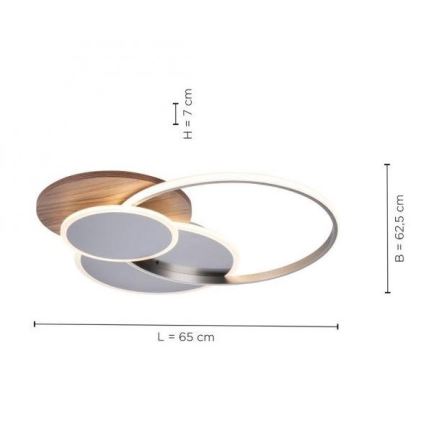 Paul Neuhaus 8328-79 - LED Dimbar taklampa PALMA LED/50W/230V 2700-5000K tall + fjärrkontroll
