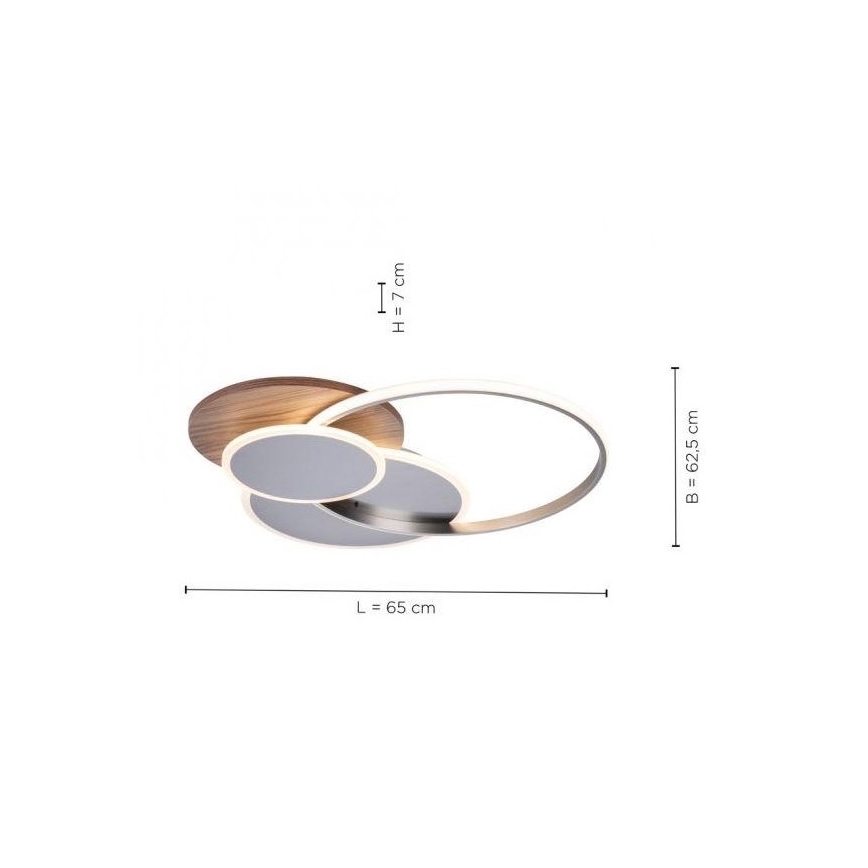 Paul Neuhaus 8328-79 - LED Dimbar taklampa PALMA LED/50W/230V 2700-5000K tall + fjärrkontroll