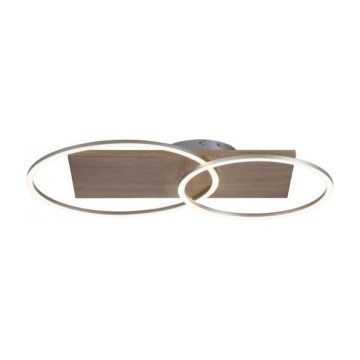 Paul Neuhaus 8329-79 - Dimbar LED ytmonterad ljuskrona PALMA LED/26W/230V 2700-5000K tall + fjärrkontroll