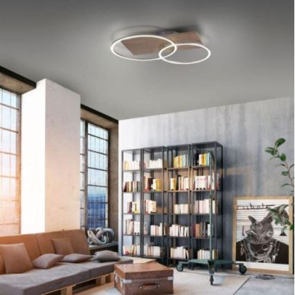 Paul Neuhaus 8329-79 - Dimbar LED ytmonterad ljuskrona PALMA LED/26W/230V 2700-5000K tall + fjärrkontroll