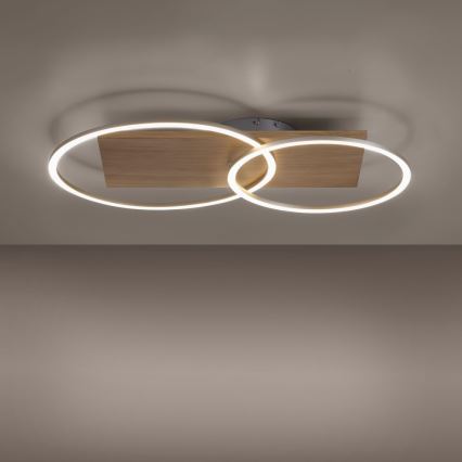Paul Neuhaus 8329-79 - Dimbar LED ytmonterad ljuskrona PALMA LED/26W/230V 2700-5000K tall + fjärrkontroll