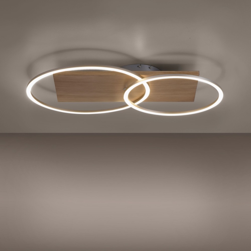 Paul Neuhaus 8329-79 - Dimbar LED ytmonterad ljuskrona PALMA LED/26W/230V 2700-5000K tall + fjärrkontroll