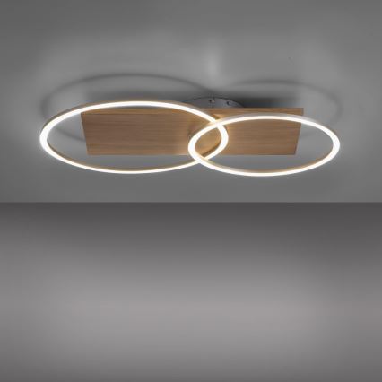 Paul Neuhaus 8329-79 - Dimbar LED ytmonterad ljuskrona PALMA LED/26W/230V 2700-5000K tall + fjärrkontroll