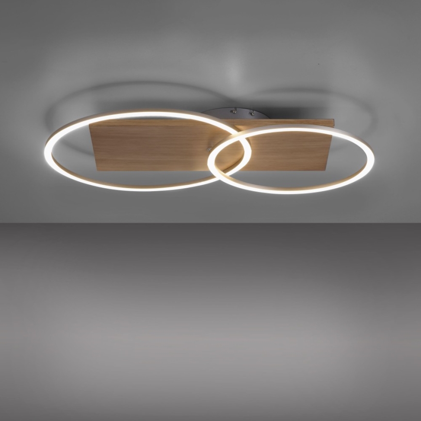 Paul Neuhaus 8329-79 - Dimbar LED ytmonterad ljuskrona PALMA LED/26W/230V 2700-5000K tall + fjärrkontroll