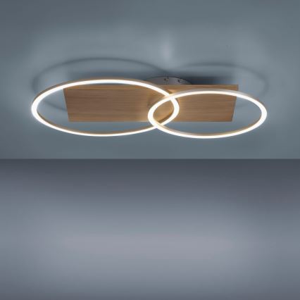 Paul Neuhaus 8329-79 - Dimbar LED ytmonterad ljuskrona PALMA LED/26W/230V 2700-5000K tall + fjärrkontroll
