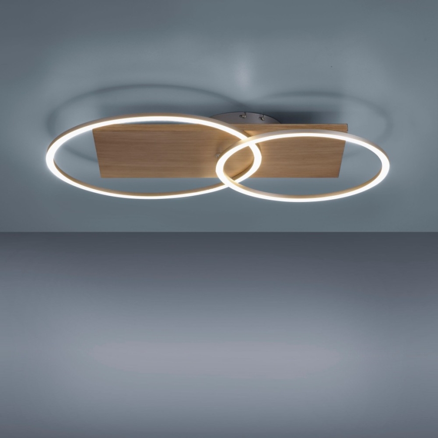 Paul Neuhaus 8329-79 - Dimbar LED ytmonterad ljuskrona PALMA LED/26W/230V 2700-5000K tall + fjärrkontroll