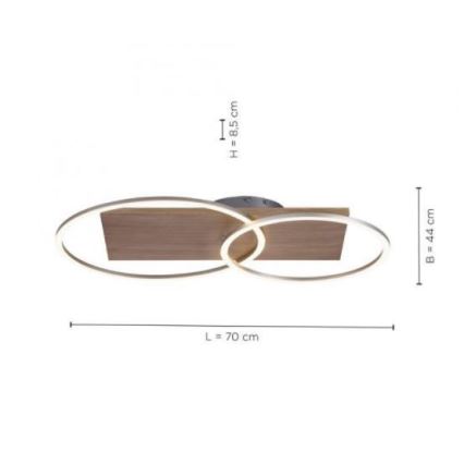 Paul Neuhaus 8329-79 - Dimbar LED ytmonterad ljuskrona PALMA LED/26W/230V 2700-5000K tall + fjärrkontroll
