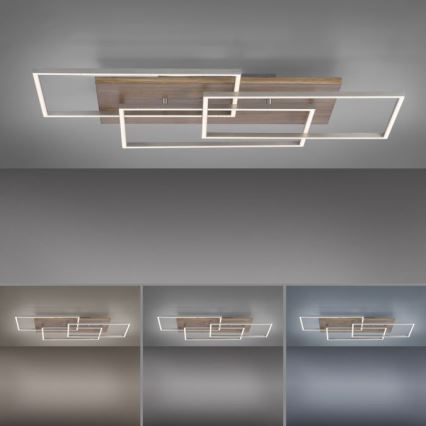Paul Neuhaus 8330-79 - Dimbar LED ytmonterad ljuskrona PALMA 3xLED/12W/230V tall + fjärrkontroll