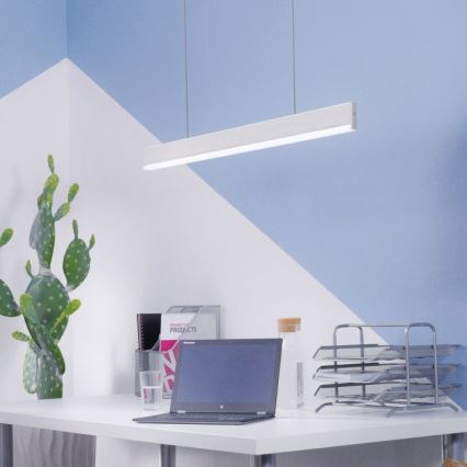 Paul Neuhaus 8363-55 - Dimbar LED-lampakrona med snöre ARINA LED/20W/230V