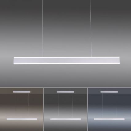 Paul Neuhaus 8363-55 - Dimbar LED-lampakrona med snöre ARINA LED/20W/230V