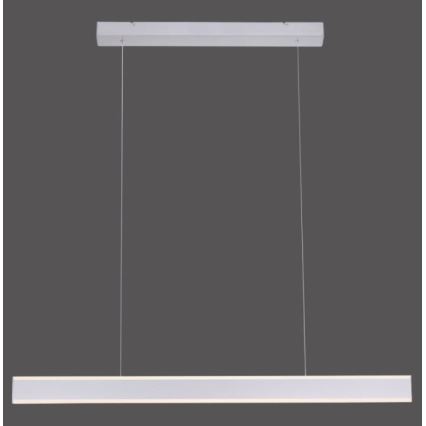 Paul Neuhaus 8363-55 - Dimbar LED-lampakrona med snöre ARINA LED/20W/230V