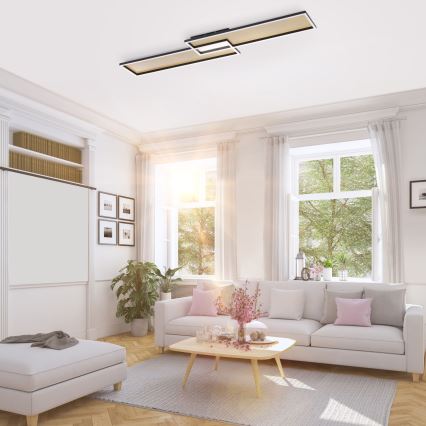 Paul Neuhaus 8371-18 - LED Dimbar Takbelysning AMARA LED/40W/230V + Fjärrstyrd