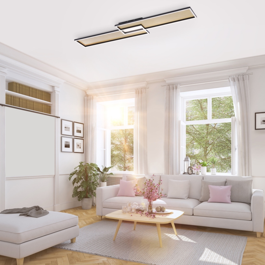 Paul Neuhaus 8371-18 - LED Dimbar Takbelysning AMARA LED/40W/230V + Fjärrstyrd