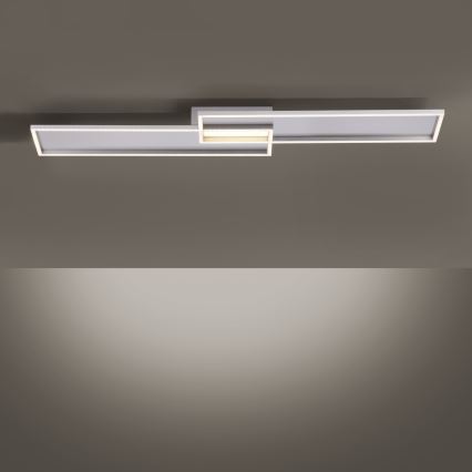 Paul Neuhaus 8371-55 - LED Dimbar Takbelysning AMARA LED/40W/230V + Fjärrstyrd