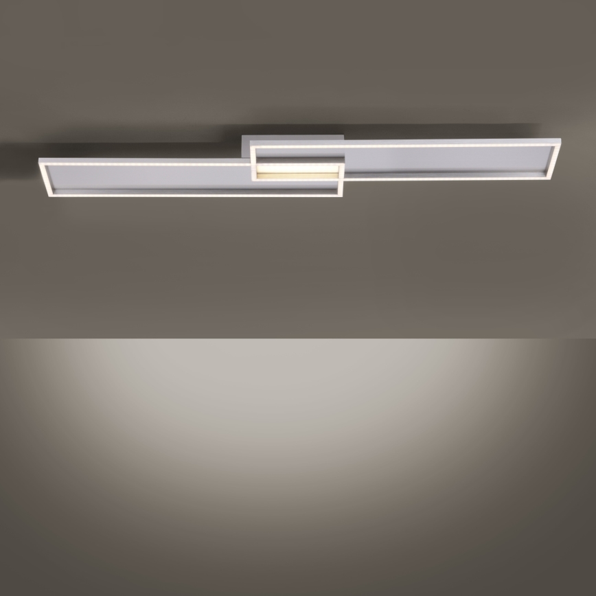 Paul Neuhaus 8371-55 - LED Dimbar Takbelysning AMARA LED/40W/230V + Fjärrstyrd