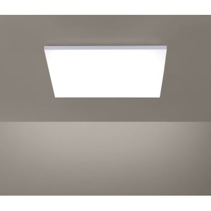 Paul Neuhaus 8492-16 - LED Dimbar Takbelysning RamLESS LED/35W/230V